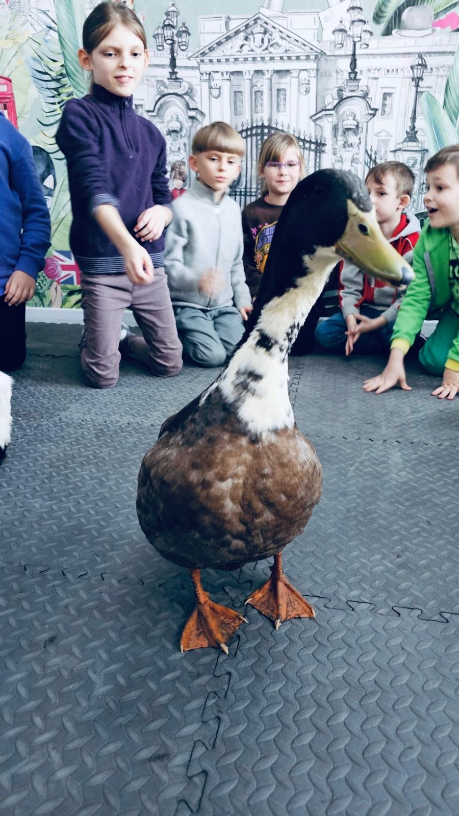 WhatsApp Image 2026-01-26 at 15.50.42 (2)