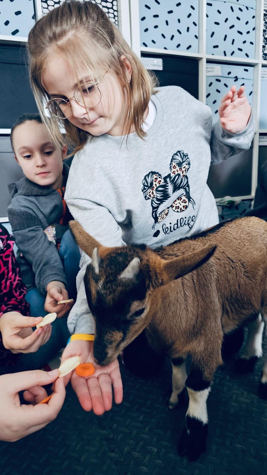 WhatsApp Image 2026-01-26 at 15.50.42 (3)